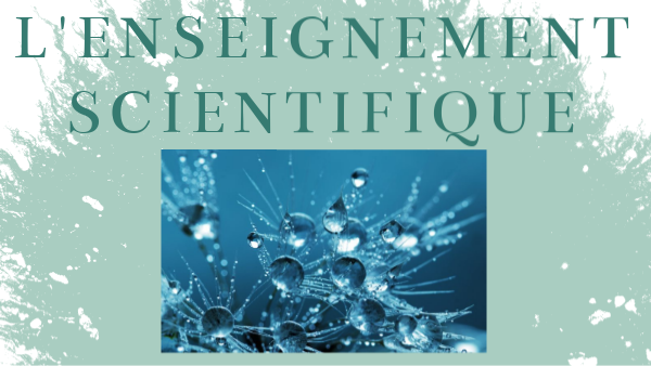 Présentation de l'enseignement scientifique