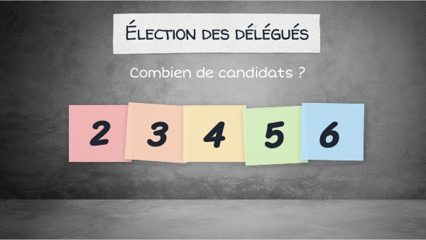 élection Des Délégués
