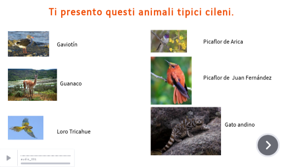 Classifica animali cileni