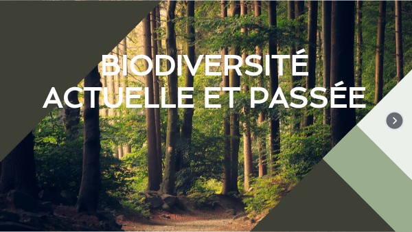 Biodiversité Actuelle Et Passée Page De Garde