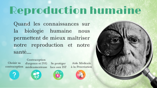 Reproduction humaine