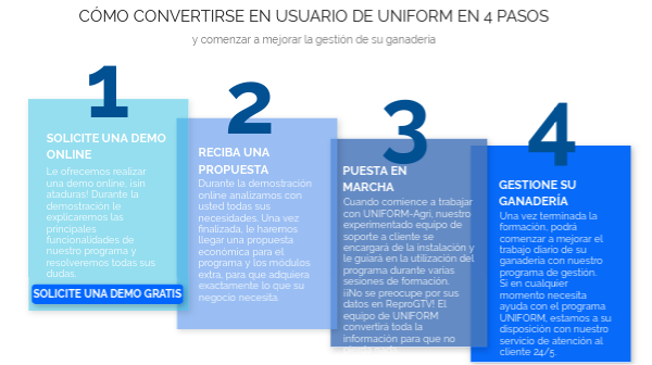 4 stages Spanish Repro | Genially