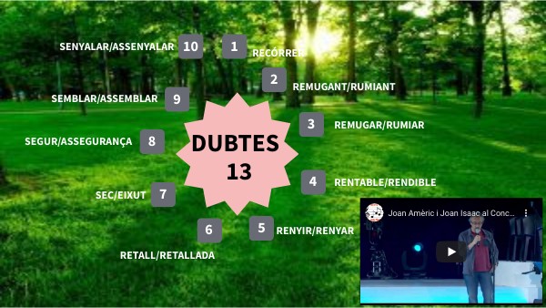 DUBTES 13