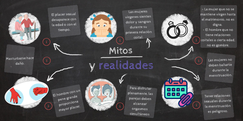 ¿Seguro De Auto Y Animales: Mitos Y Realidades! - nvms7d1