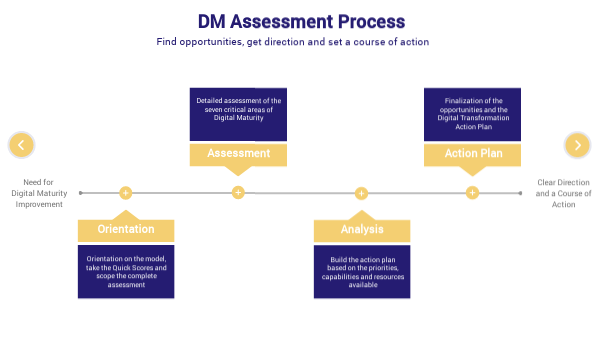 REPORT - Dx Assessment Process