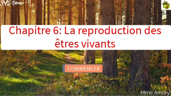 Chapitre 6-5ème: Reproduction des êtres vivants