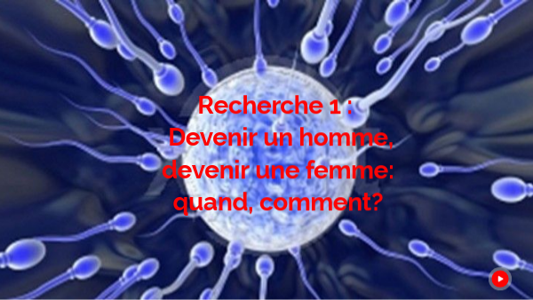 Reproduction humaine