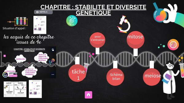 3e stabilité et diversité génétique