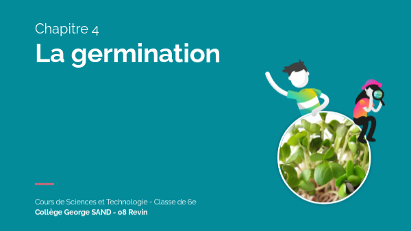 6e - La germination