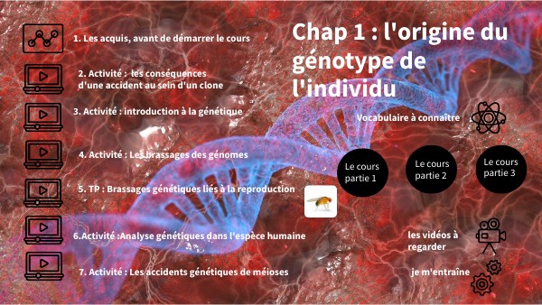 plan de travail chapitre 1 origine du génotype des individus | Genially