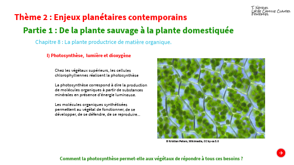 Chp 8 la plante productrice de matière organique