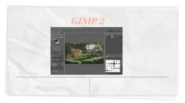 gimp