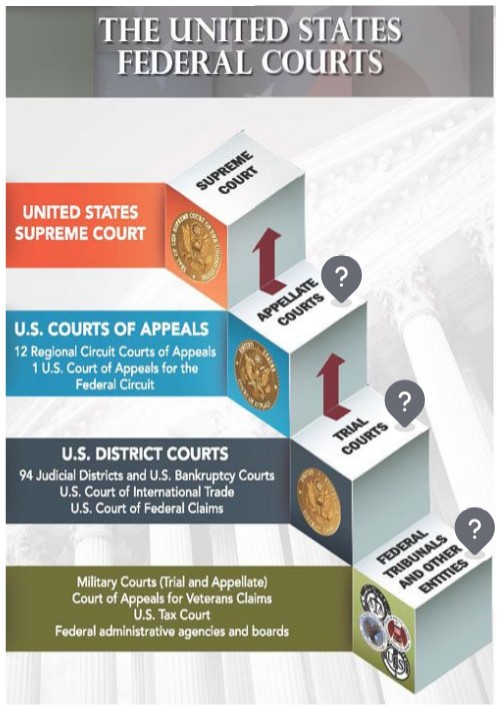 The Federal Court System | Genially
