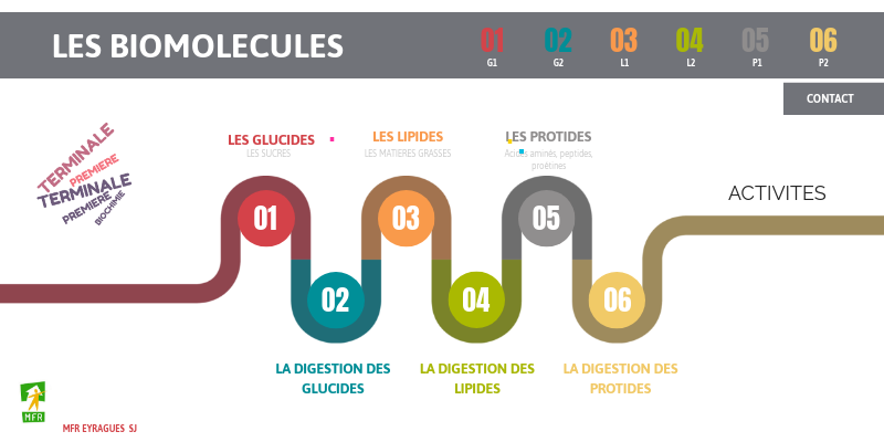biomolecules-genially