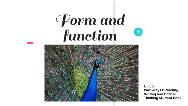 Unit 9 - Reading and Writing | Genially