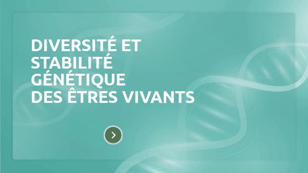 Diversité et stabilité génétique