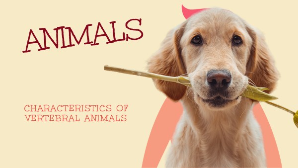 ANIMALS | Genially