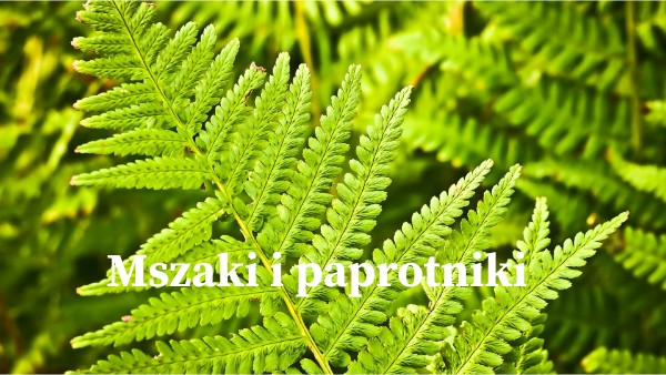 Mszaki I Paprotniki Sprawdzian Z Odpowiedziami Mszaki i paprotniki | Genially