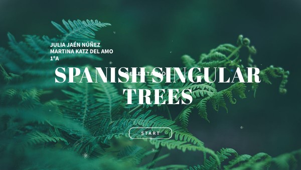 Spanish singular trees
