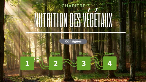 Nutrition végétaux 5ème