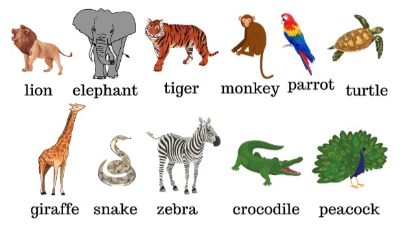 Wild animals | Genially