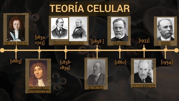 CARLOTA COELHO DE LA ROSA -TEORÍA CELULAR | Genially