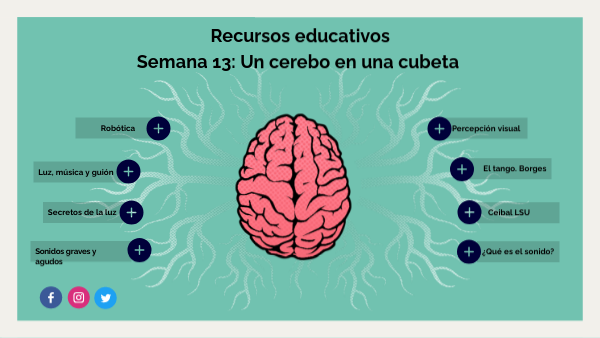 Semana 13 | Genially