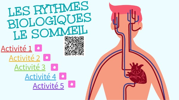 CAP séance 2 les rythmes biologiques | Genially