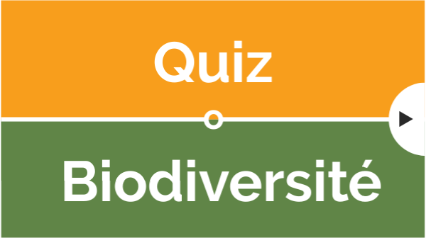 QUIZ Biodiversité