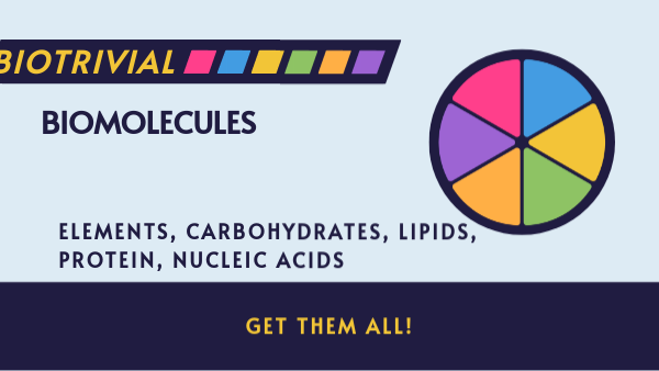 biomolecules | Genially
