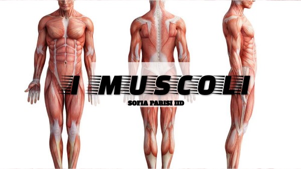 I MUSCOLI