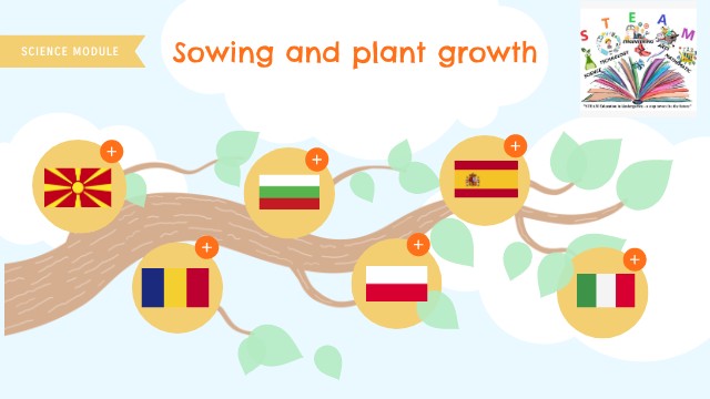 Sowing and plant growth | Genially