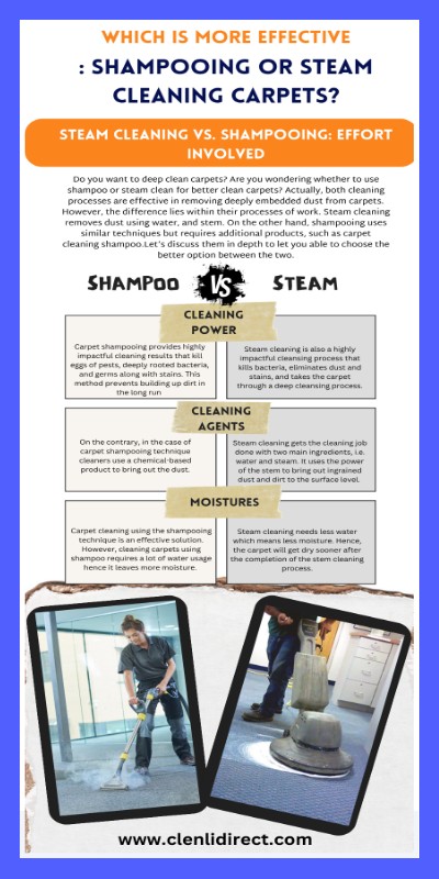 Which Is More Effective : Shampooing or Steam Cleaning Carpets? | Genially
