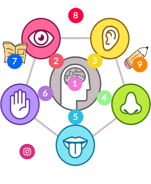 3º: OUR SENSES | Genially
