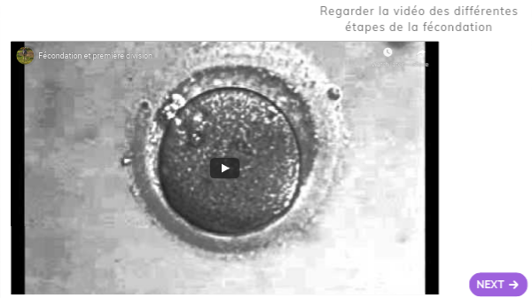 2nde 2020 Caryotype | Genially