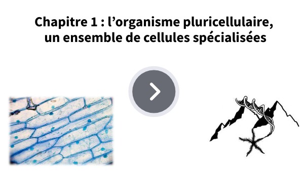 2° chap 1 activité 1