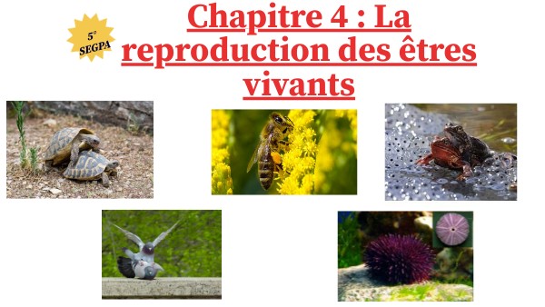 Développement Et Reproduction Des êtres Vivants Page De Garde Chapitre 4 la reproduction des êtres vivants | Genially