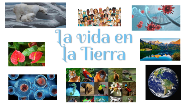 La vida en la Tierra