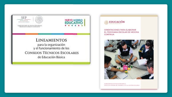LINEAMIENTOS PARA LA ORGANIZACIÓN DE LOS CONSEJOS TÉCNICOS ESCOLARES