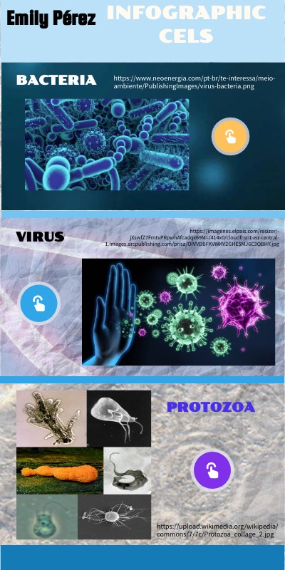 Infographic summative science | Genially