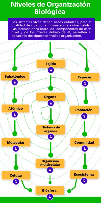 Clase 2 Niveles de organización biológica