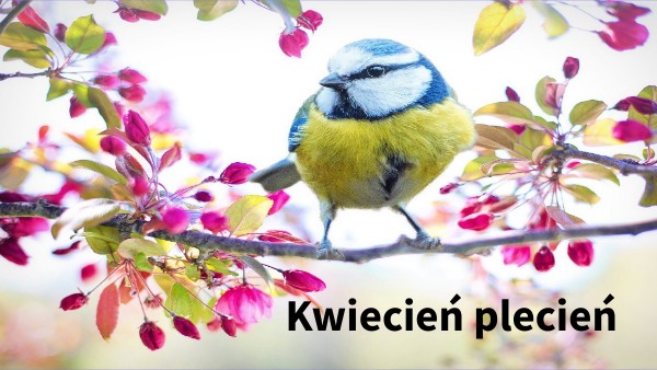 Kwiecień plecień klasa1