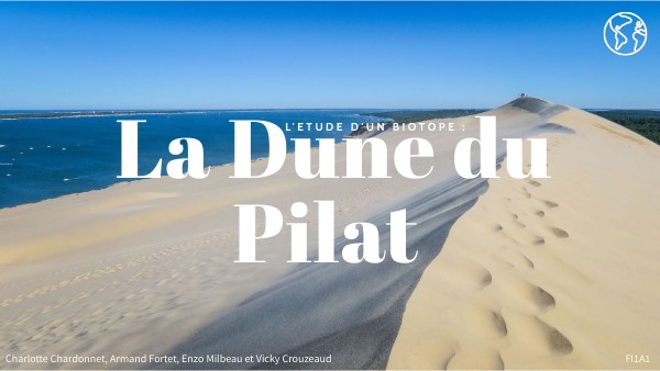 Présentation Biotope Dune du Pilat | Genially