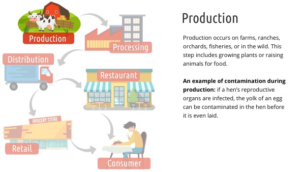 EAQT Food Production Chain