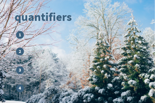 quantifiers