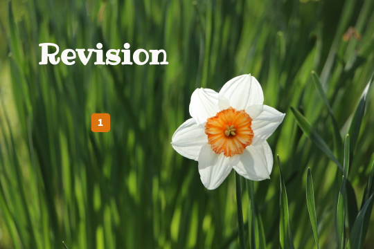 Focus 1 unit 2 revision | Genially