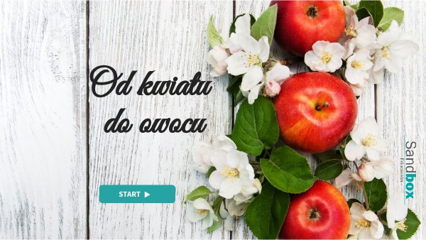 Od kwiatu do owocu | Genially