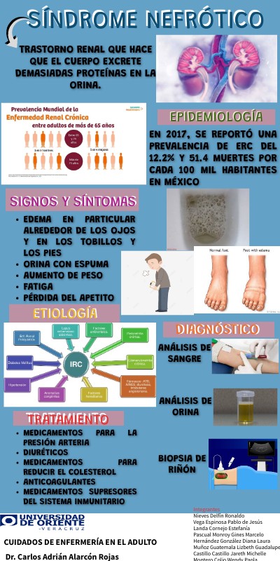 Síndrome Nefrótico | Genially