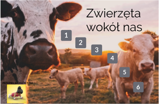 Zwierzęta hodowlane