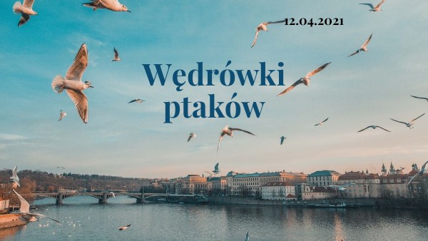 Wędrówki ptaków | Genially